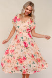 Blush Floral Chiffon Dress